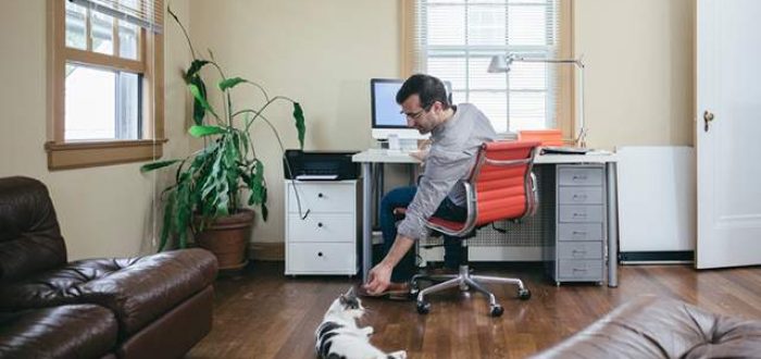 O Teletrabalho na Reforma Trabalhista